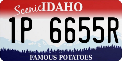 ID license plate 1P6655R