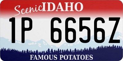 ID license plate 1P6656Z
