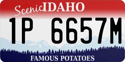 ID license plate 1P6657M