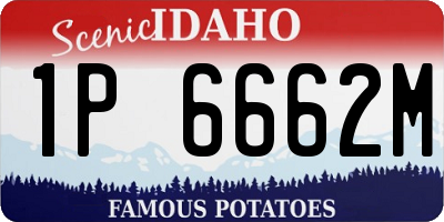 ID license plate 1P6662M