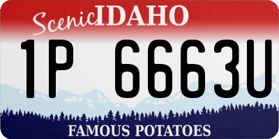 ID license plate 1P6663U