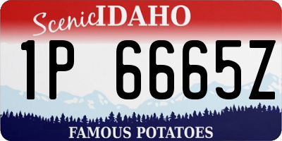 ID license plate 1P6665Z