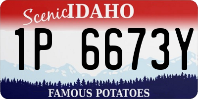 ID license plate 1P6673Y