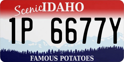 ID license plate 1P6677Y