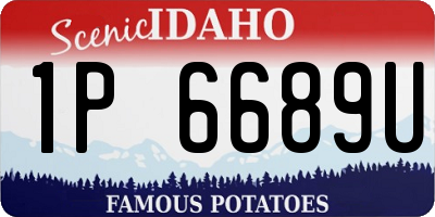 ID license plate 1P6689U