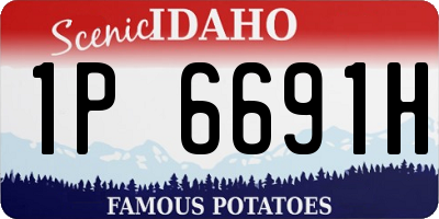 ID license plate 1P6691H
