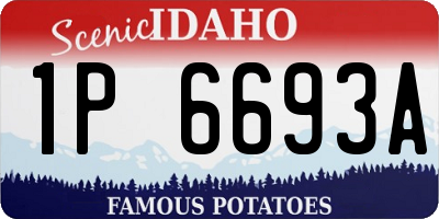 ID license plate 1P6693A