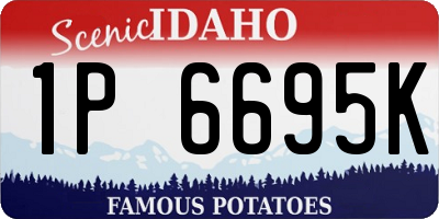 ID license plate 1P6695K