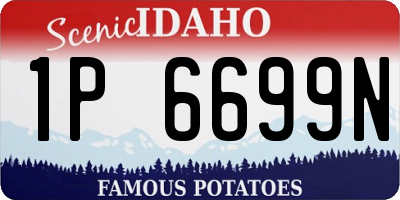 ID license plate 1P6699N
