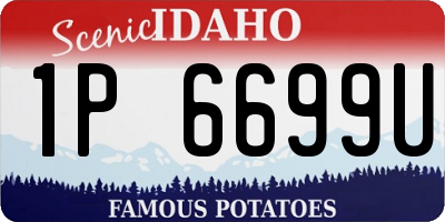 ID license plate 1P6699U