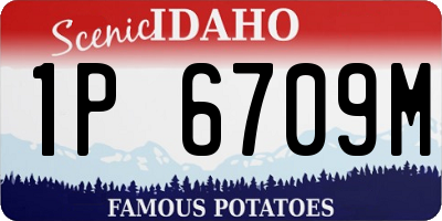 ID license plate 1P6709M