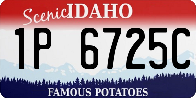 ID license plate 1P6725C