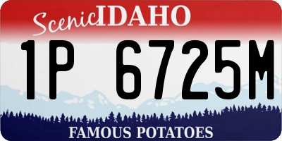 ID license plate 1P6725M
