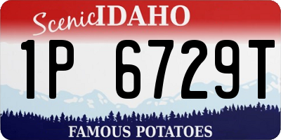 ID license plate 1P6729T