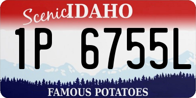 ID license plate 1P6755L