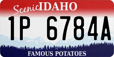 ID license plate 1P6784A