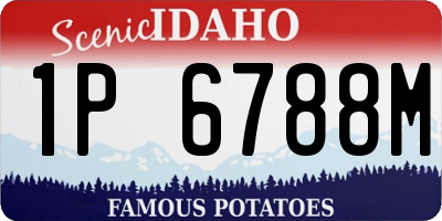 ID license plate 1P6788M