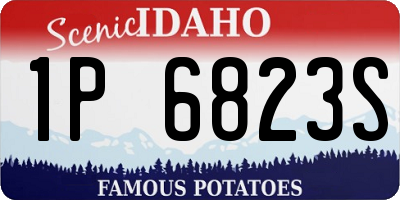 ID license plate 1P6823S