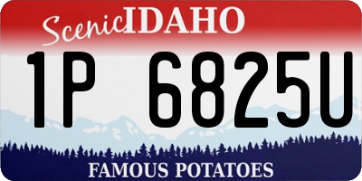 ID license plate 1P6825U