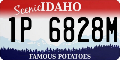 ID license plate 1P6828M