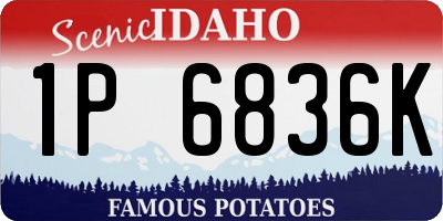ID license plate 1P6836K