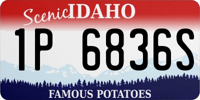 ID license plate 1P6836S