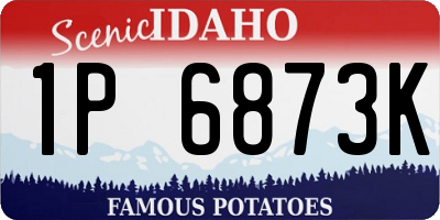 ID license plate 1P6873K