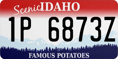ID license plate 1P6873Z