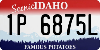 ID license plate 1P6875L