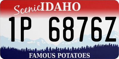 ID license plate 1P6876Z