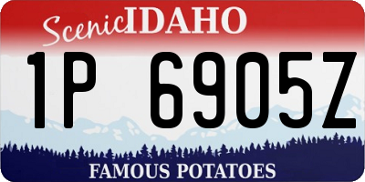 ID license plate 1P6905Z