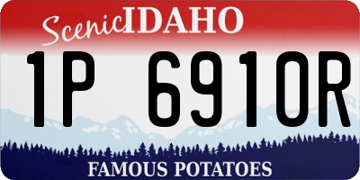 ID license plate 1P6910R