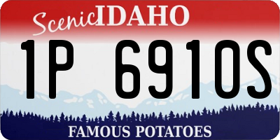 ID license plate 1P6910S
