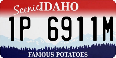 ID license plate 1P6911M
