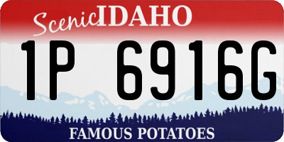 ID license plate 1P6916G