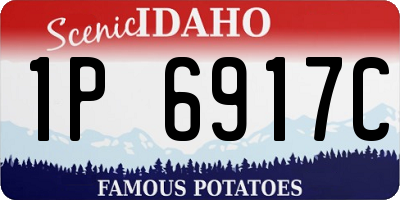 ID license plate 1P6917C