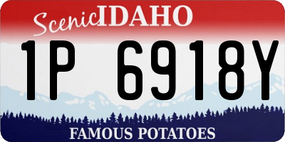 ID license plate 1P6918Y