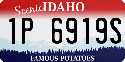 ID license plate 1P6919S