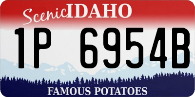 ID license plate 1P6954B