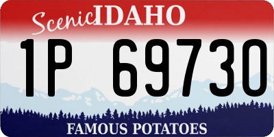 ID license plate 1P6973O