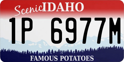 ID license plate 1P6977M