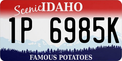 ID license plate 1P6985K