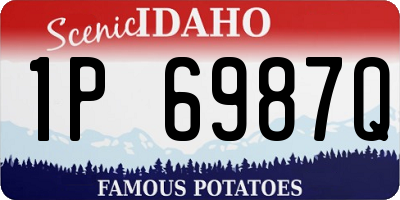 ID license plate 1P6987Q
