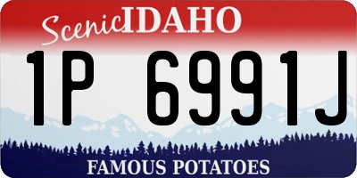 ID license plate 1P6991J