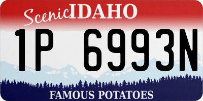 ID license plate 1P6993N