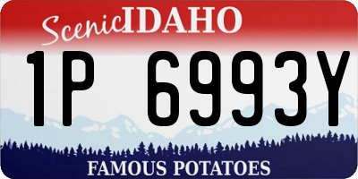 ID license plate 1P6993Y