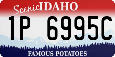 ID license plate 1P6995C