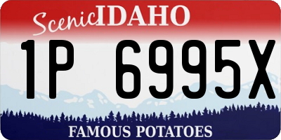ID license plate 1P6995X