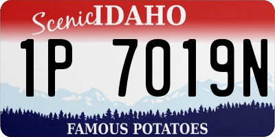 ID license plate 1P7019N