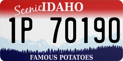 ID license plate 1P7019O